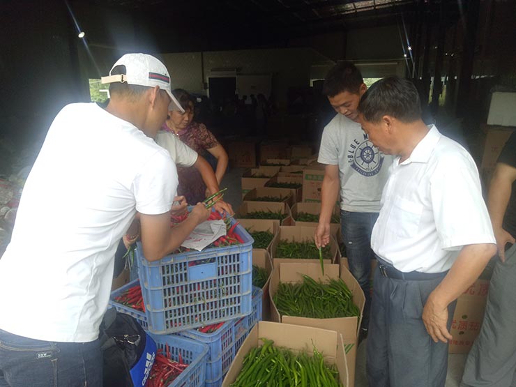 首页- 尊龙集团中国官网入口