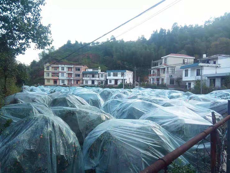 首页- 尊龙集团中国官网入口