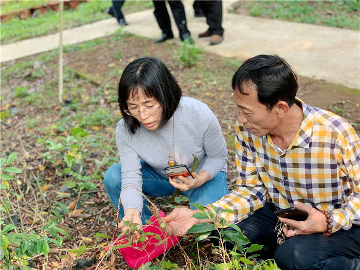 首页- 尊龙集团中国官网入口