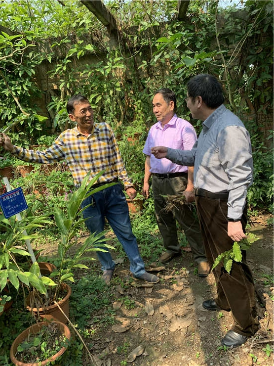 首页- 尊龙集团中国官网入口