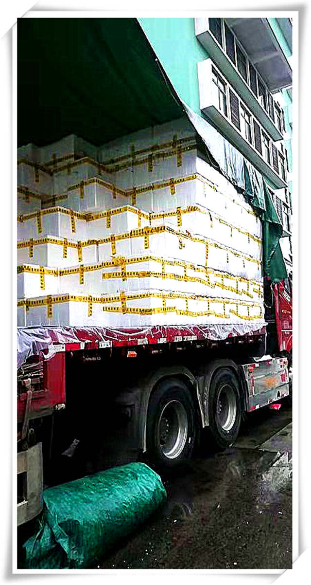 首页- 尊龙集团中国官网入口