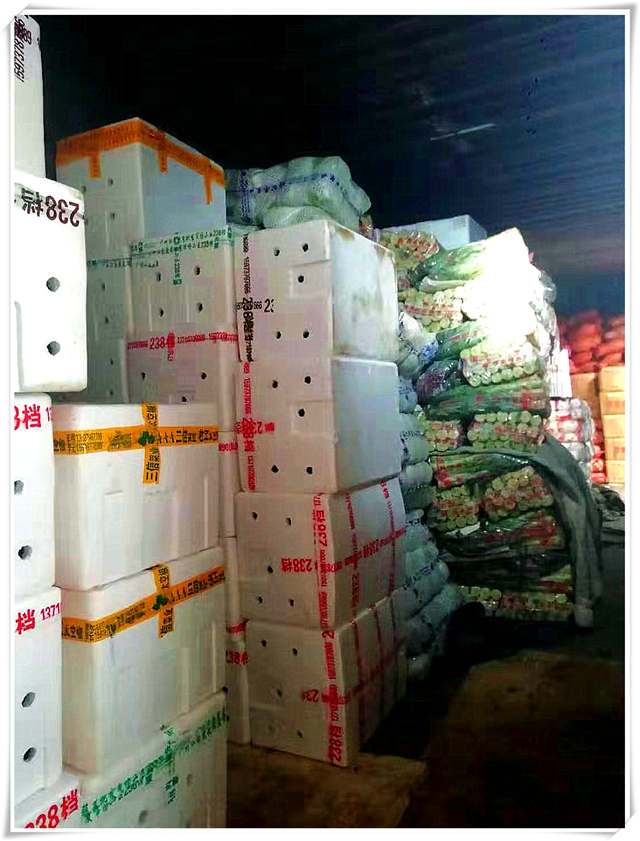 首页- 尊龙集团中国官网入口