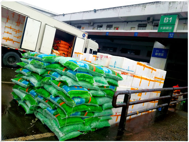 首页- 尊龙集团中国官网入口