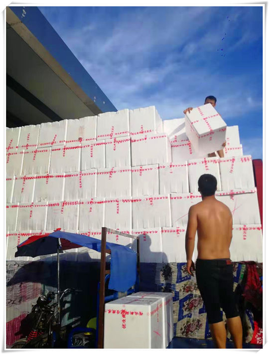 首页- 尊龙集团中国官网入口