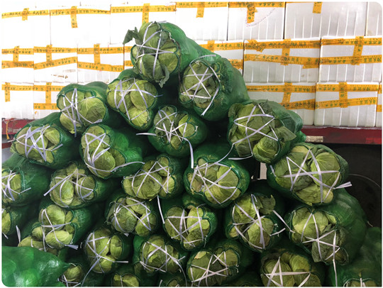 首页- 尊龙集团中国官网入口