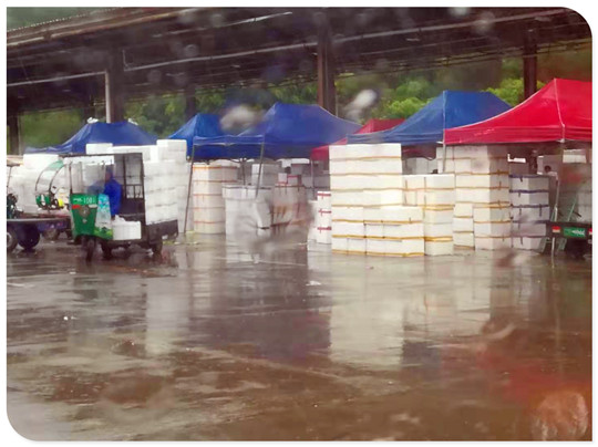 首页- 尊龙集团中国官网入口