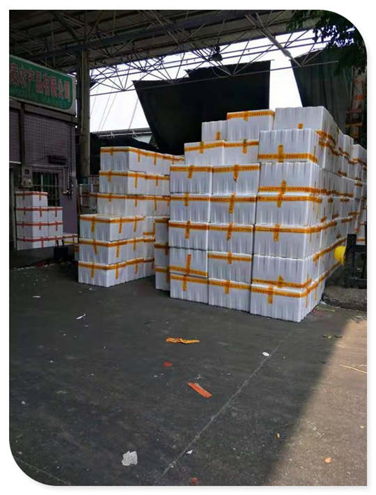 首页- 尊龙集团中国官网入口