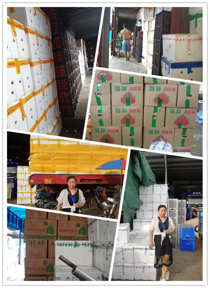 首页- 尊龙集团中国官网入口