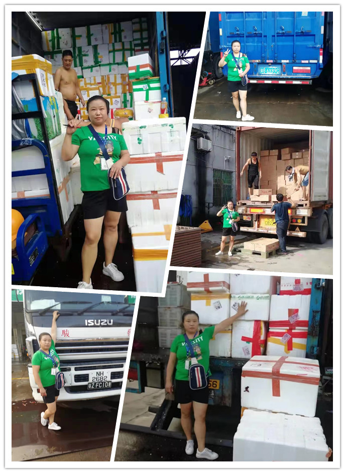 首页- 尊龙集团中国官网入口