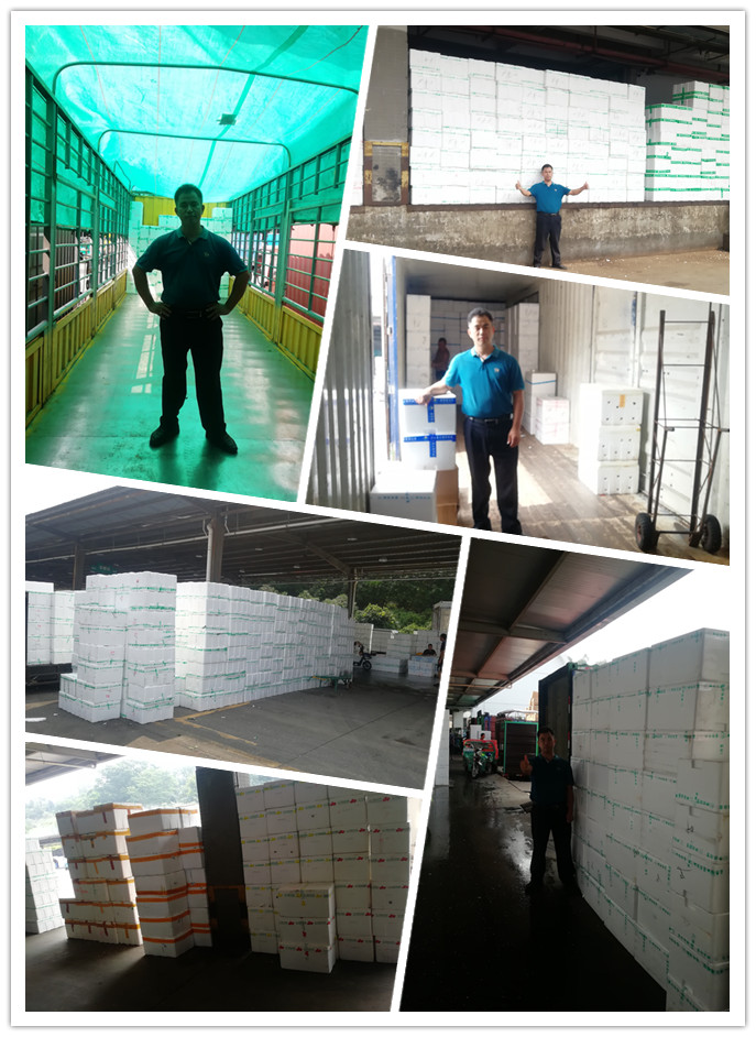 首页- 尊龙集团中国官网入口