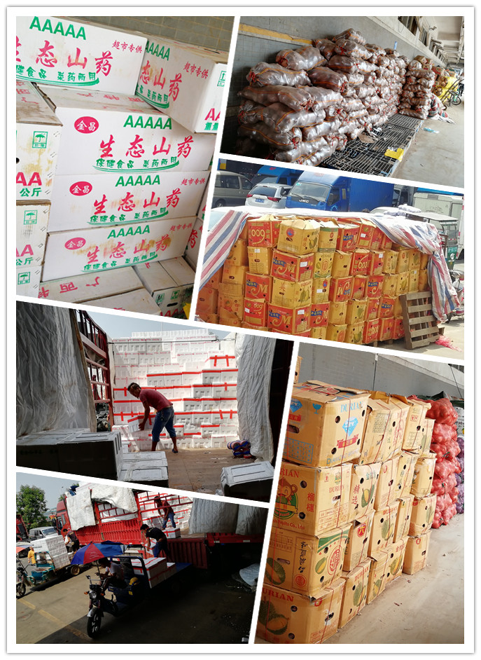 首页- 尊龙集团中国官网入口