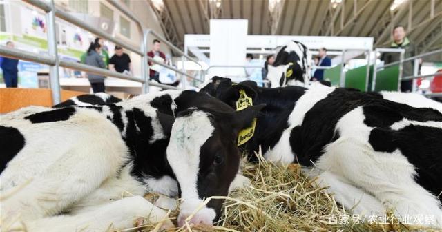 首页- 尊龙集团中国官网入口