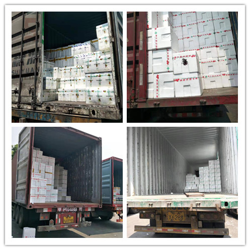 首页- 尊龙集团中国官网入口