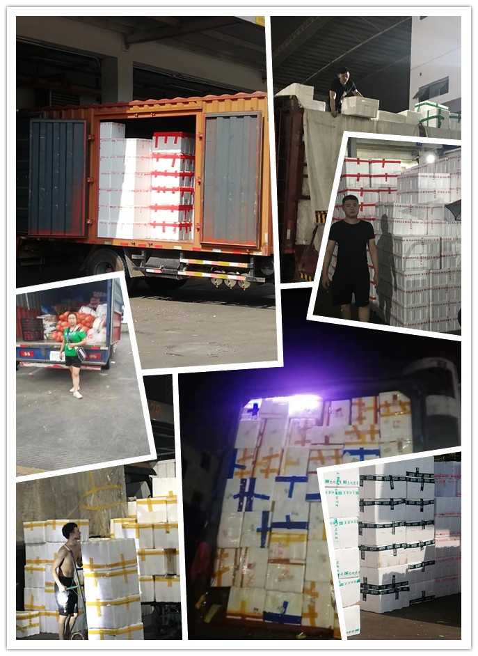 首页- 尊龙集团中国官网入口