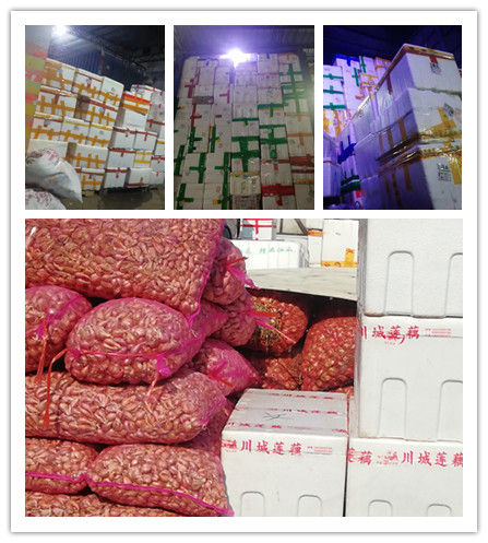 首页- 尊龙集团中国官网入口