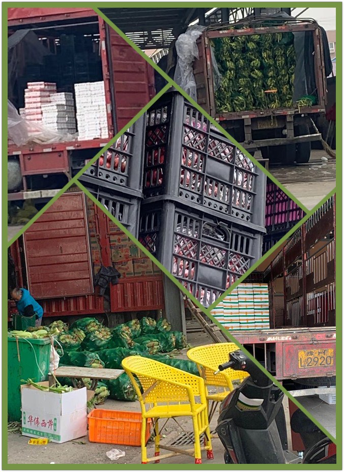 首页- 尊龙集团中国官网入口