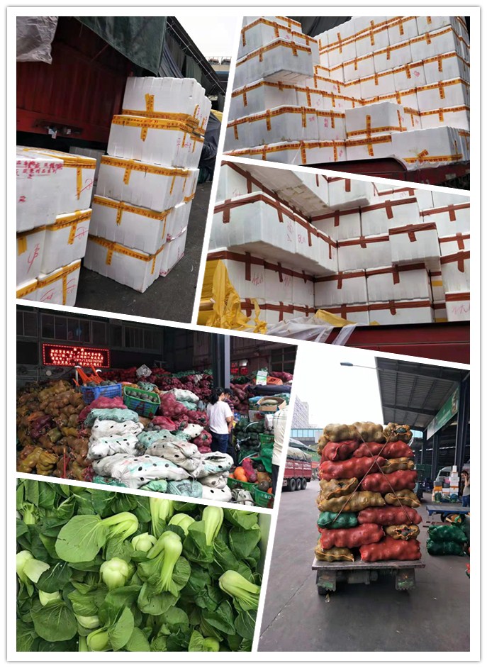 首页- 尊龙集团中国官网入口