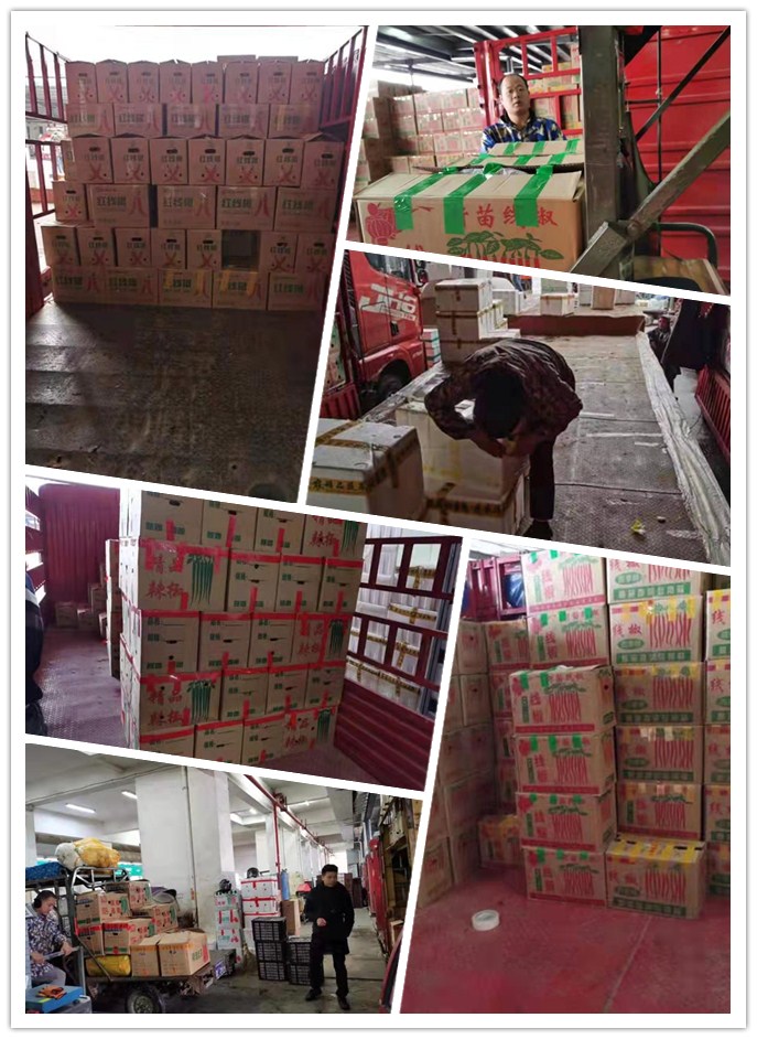 首页- 尊龙集团中国官网入口