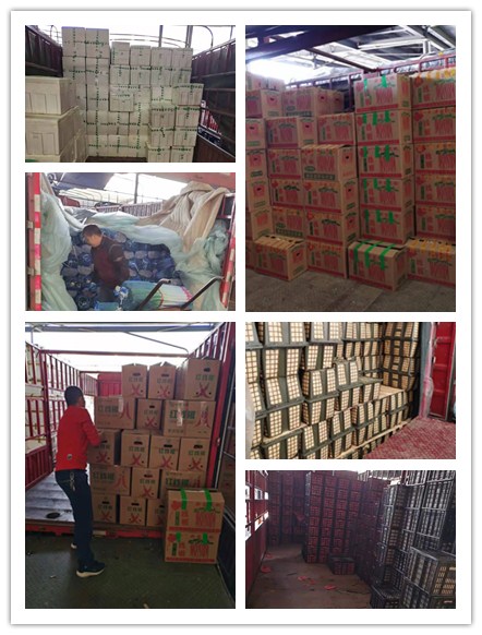 首页- 尊龙集团中国官网入口