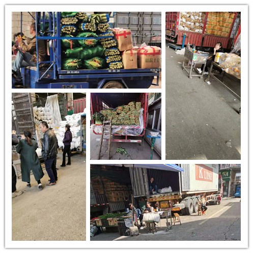 首页- 尊龙集团中国官网入口