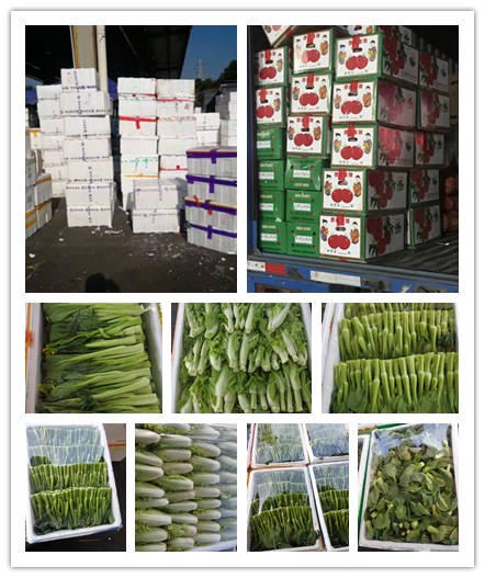 首页- 尊龙集团中国官网入口