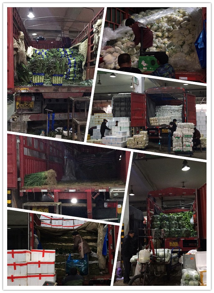 首页- 尊龙集团中国官网入口