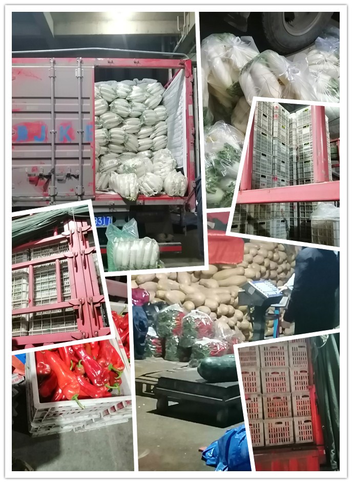 首页- 尊龙集团中国官网入口