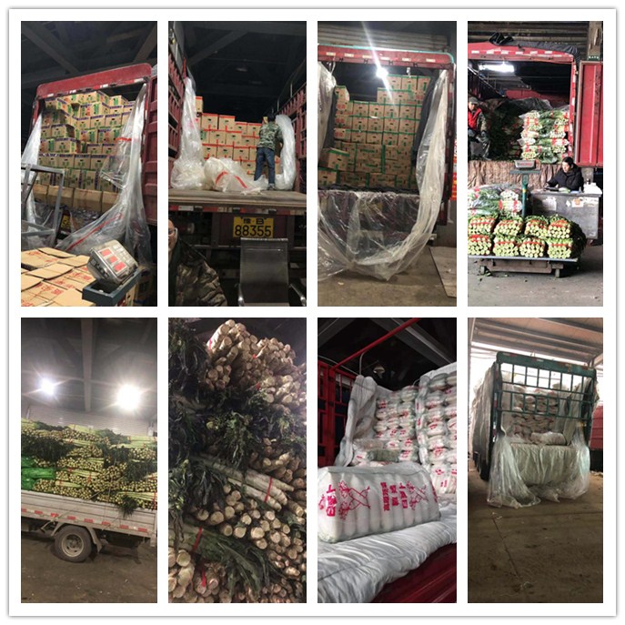 首页- 尊龙集团中国官网入口