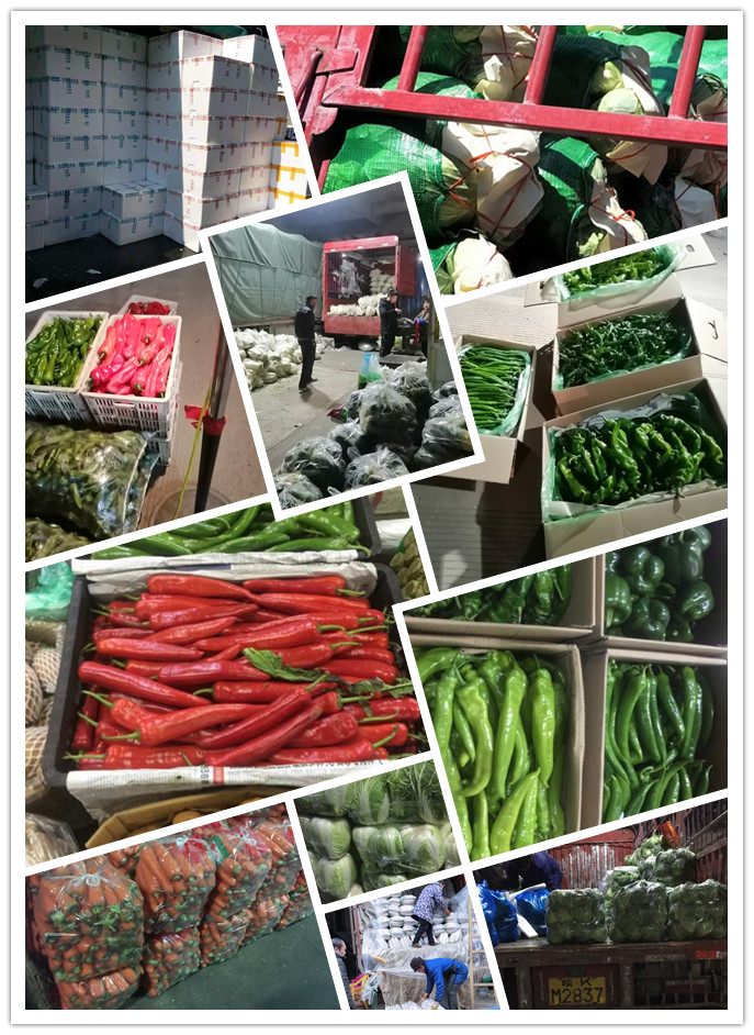 首页- 尊龙集团中国官网入口