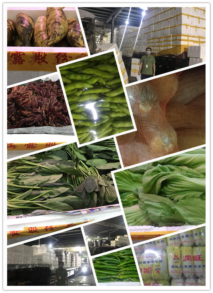 首页- 尊龙集团中国官网入口