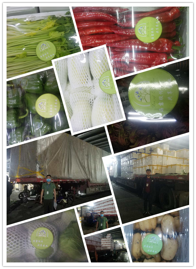 首页- 尊龙集团中国官网入口