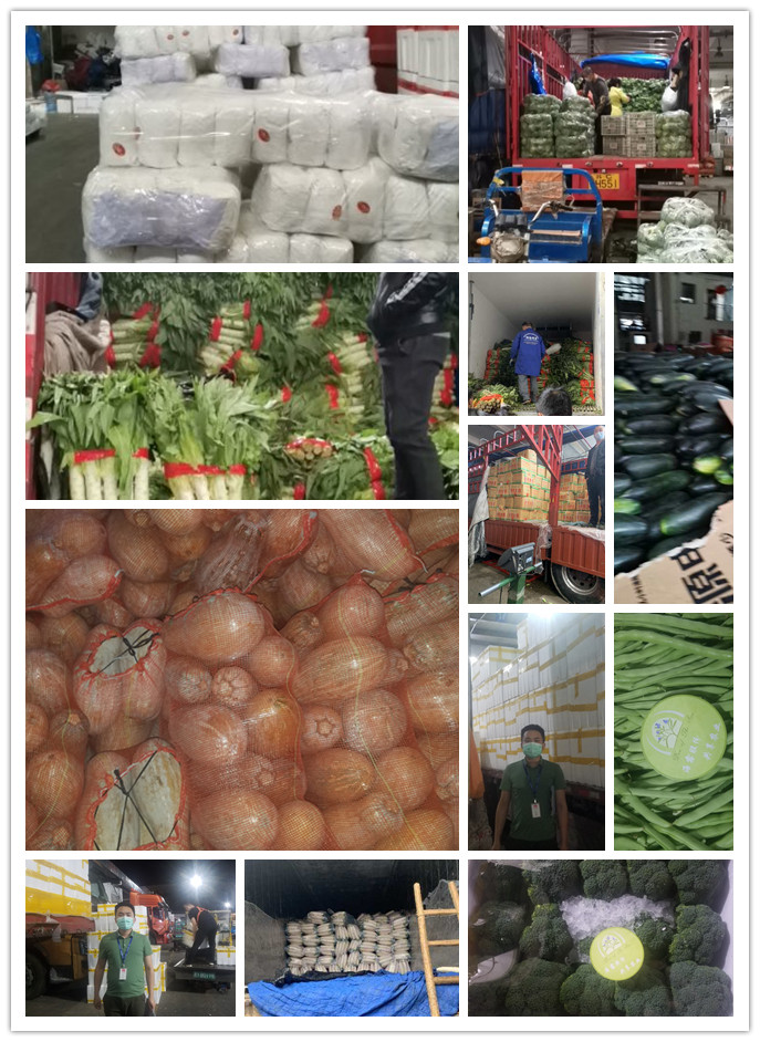 首页- 尊龙集团中国官网入口