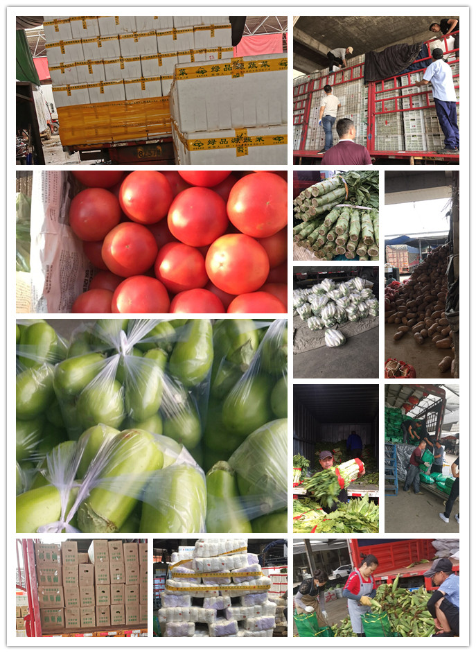 首页- 尊龙集团中国官网入口