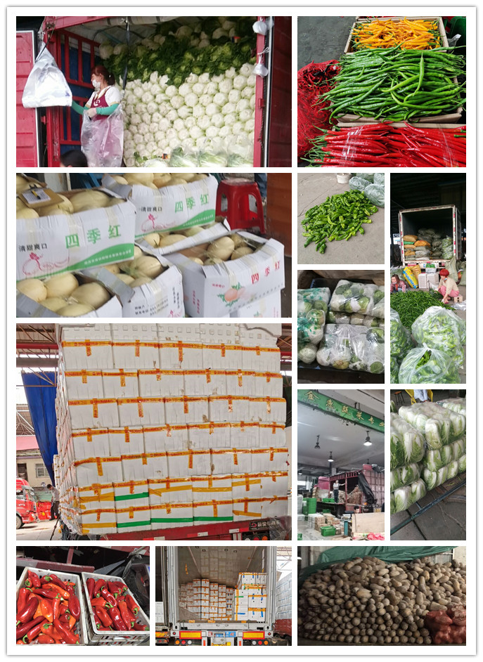 首页- 尊龙集团中国官网入口