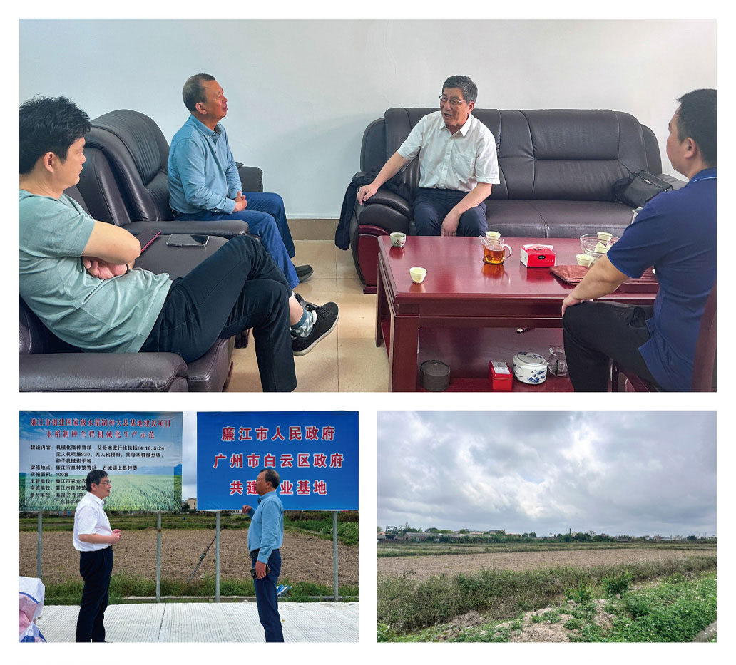 首页- 尊龙集团中国官网入口