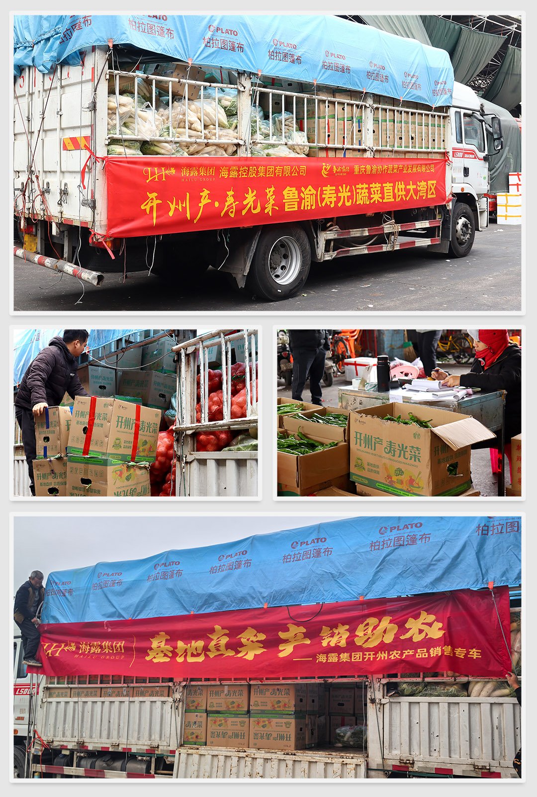 首页- 尊龙集团中国官网入口